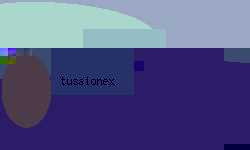 asthma tussionex